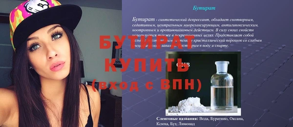 индика Елизово