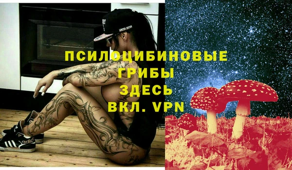 MDMA Новодвинск