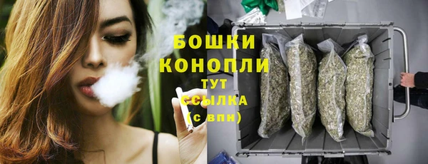 MDMA Новодвинск