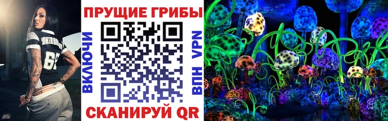 цены наркотик  Фролово  Псилоцибиновые грибы Psilocybe 