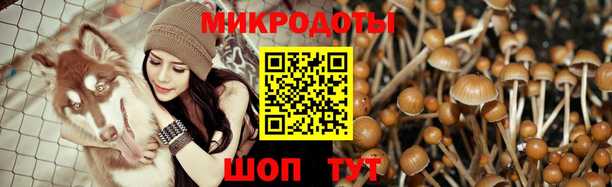 Галлюциногенные грибы GOLDEN TEACHER  Галлюциногенные грибы ЛСД  Фролово  Вход с VPN 