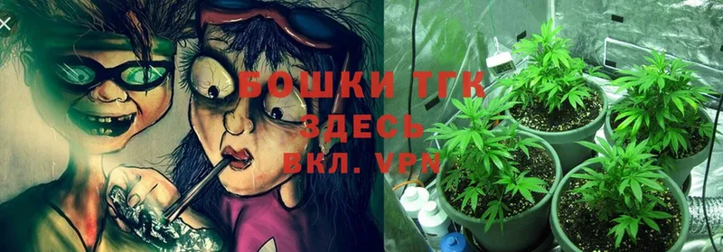 Каннабис White Widow  купить наркотики цена  Фролово 